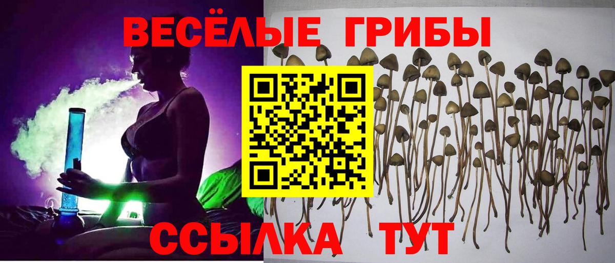 Галлюциногенные грибы Magic Shrooms  Вход с VPN  Ялуторовск 
